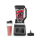 Blender Ninja Blender kielichowy BN750EU + 1 bidon w komplecie